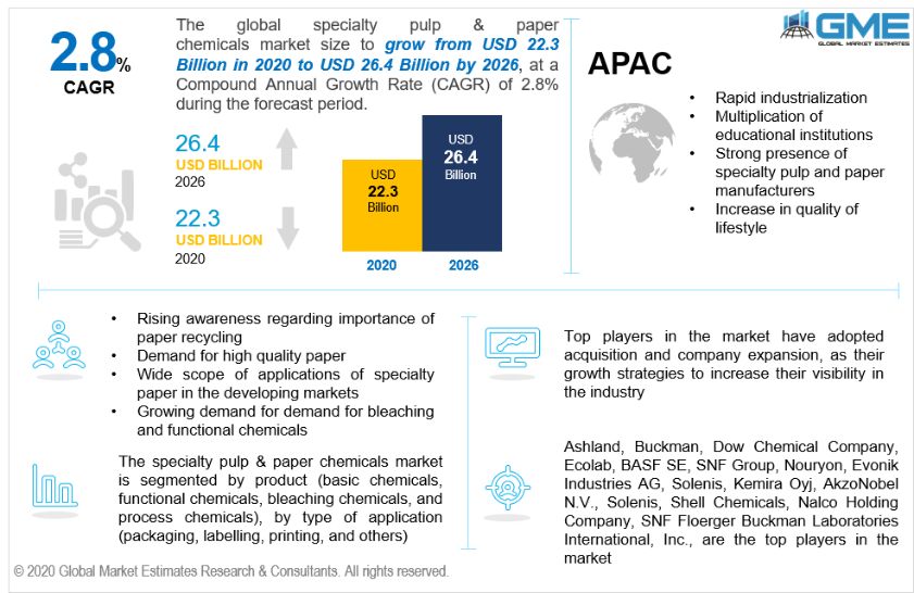 Specialty Pulp & Paper Chemicals Market